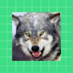 Logo of Wolf wallpapers android Application 