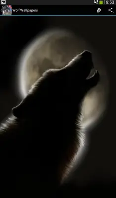 Wolf wallpapers android App screenshot 0